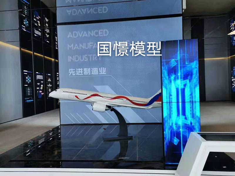 丁青县飞机模型