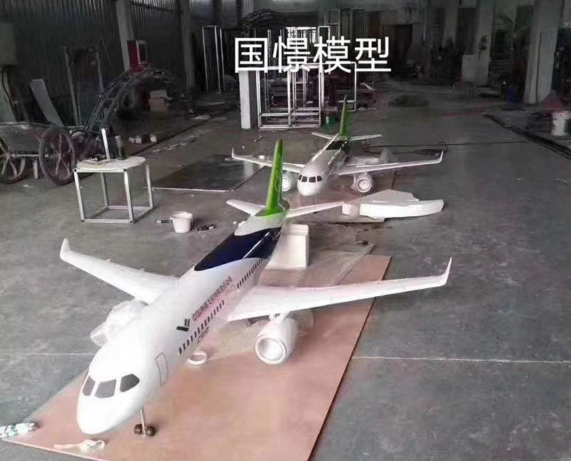 丁青县飞机模型
